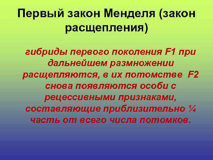 Первый закон Менделя (закон расщепления) гибриды первого поколения F 1 при дальнейшем размножении расщепляются,