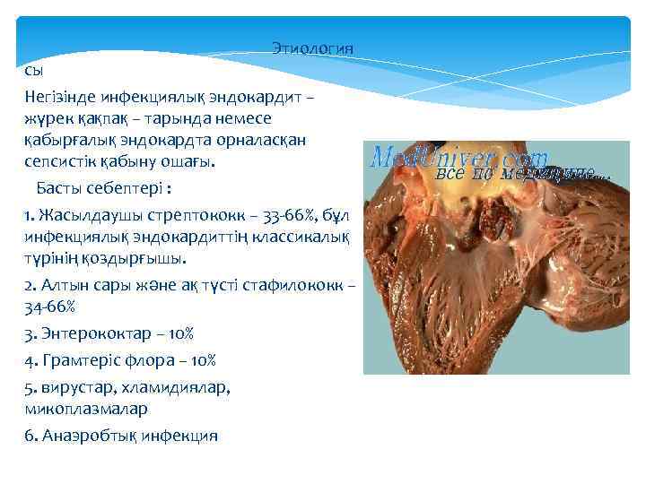 Этиология сы Негізінде инфекциялық эндокардит – жүрек қақпақ – тарында немесе қабырғалық эндокардта орналасқан