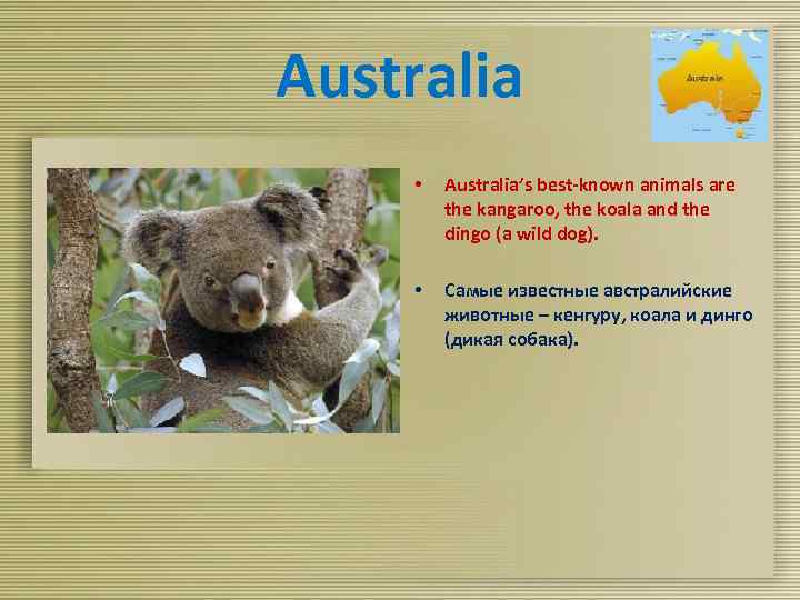 Australia • Australia’s best-known animals are the kangaroo, the koala and the dingo (a