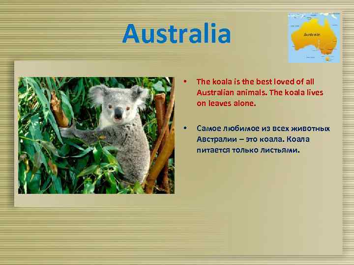 Australia • The koala is the best loved of all Australian animals. The koala