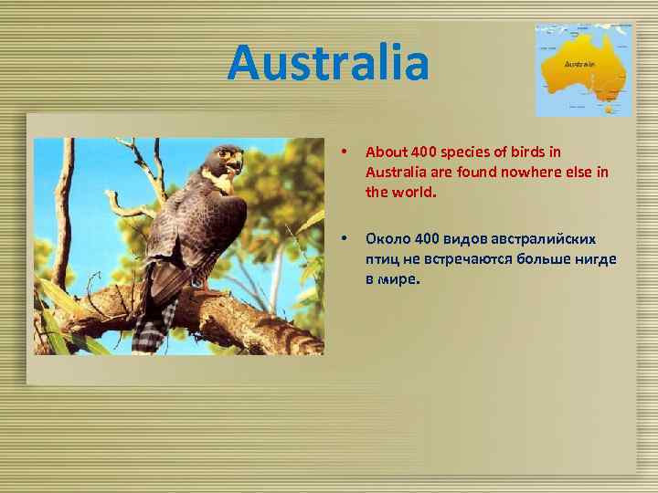 Australia • About 400 species of birds in Australia are found nowhere else in