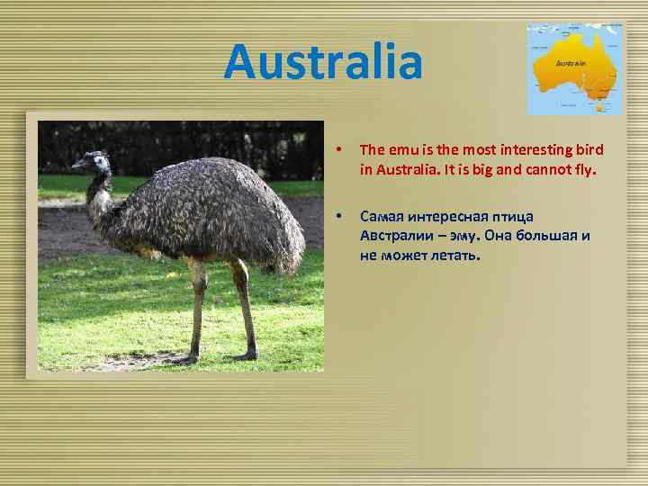 Australia • The emu is the most interesting bird in Australia. It is big