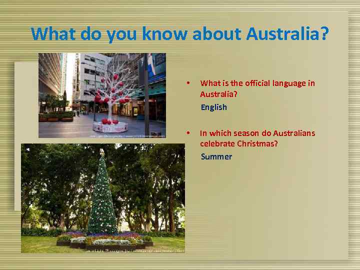 What do you know about Australia? What is the official language in Australia? English