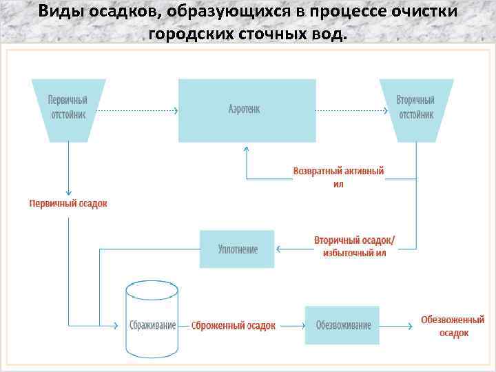 Виды осадков, образующихся в процессе очистки городских сточных вод. 