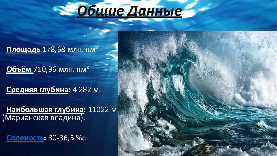 Океаны презентация 7