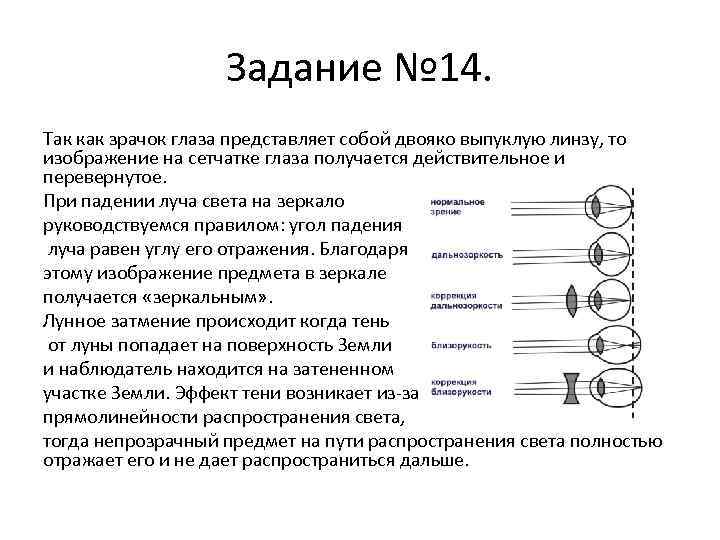 Задание № 14. Так как зрачок глаза представляет собой двояко выпуклую линзу, то изображение