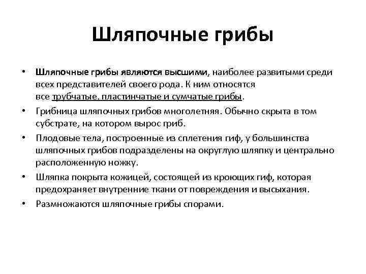 Шляпочные грибы • Шляпочные грибы являются высшими, наиболее развитыми среди всех представителей своего рода.