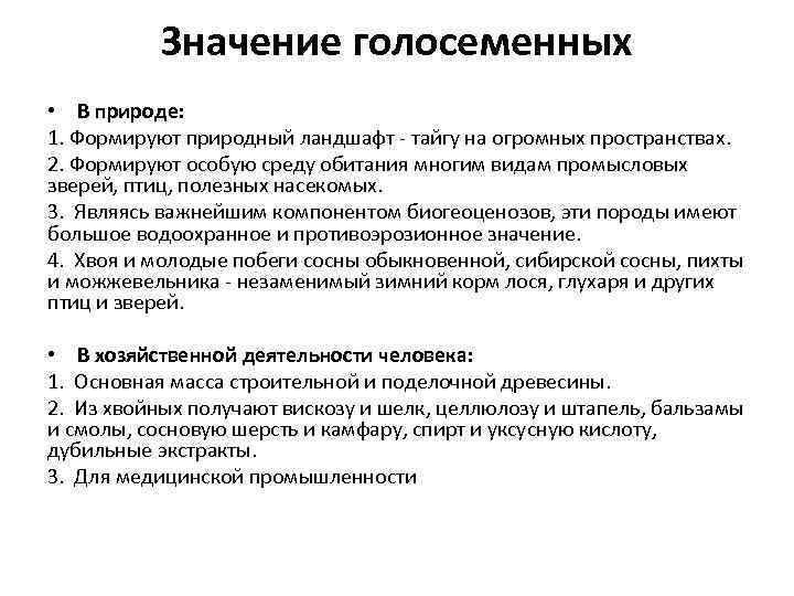 Значение в природе и жизни человека голосеменных. Роль голосеменных в природе и жизни человека. Значение голосеменных в природе и жизни человека. Роль голосеменных сообщение. Значение голосеменных в природе.