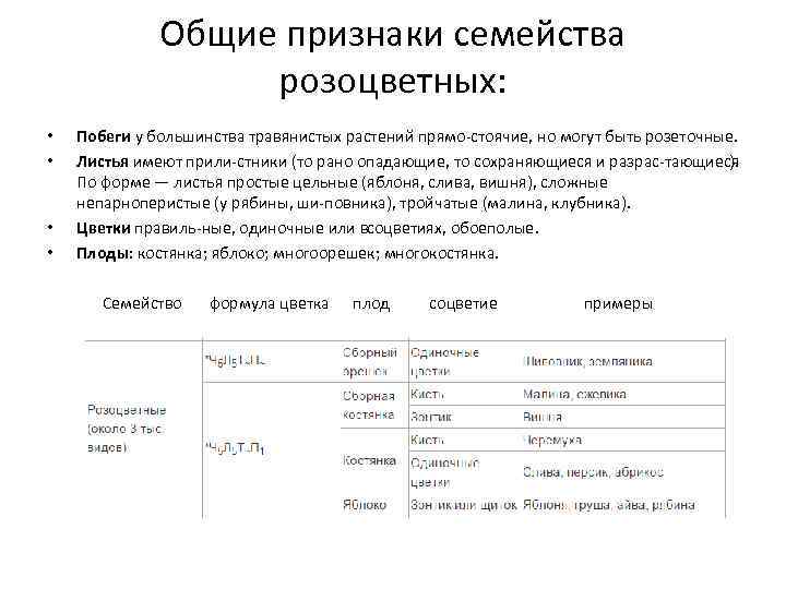 Признаки семейства. Диагностические признаки семейства Розоцветные. Диагностические особенности розоцветных. Диагностические признаки семейств. Основные диагностические признаки семейств таблица.