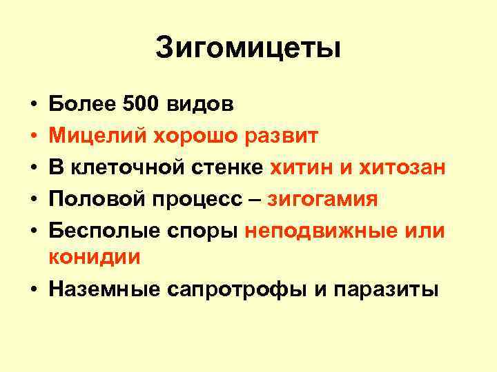 Зигомицеты • • • Более 500 видов Мицелий хорошо развит В клеточной стенке хитин