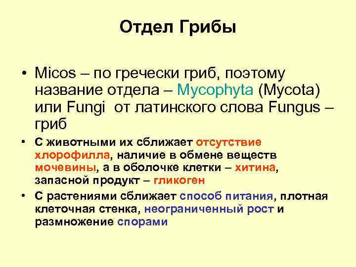 Отдел Грибы • Micos – по гречески гриб, поэтому название отдела – Mycophyta (Mycota)