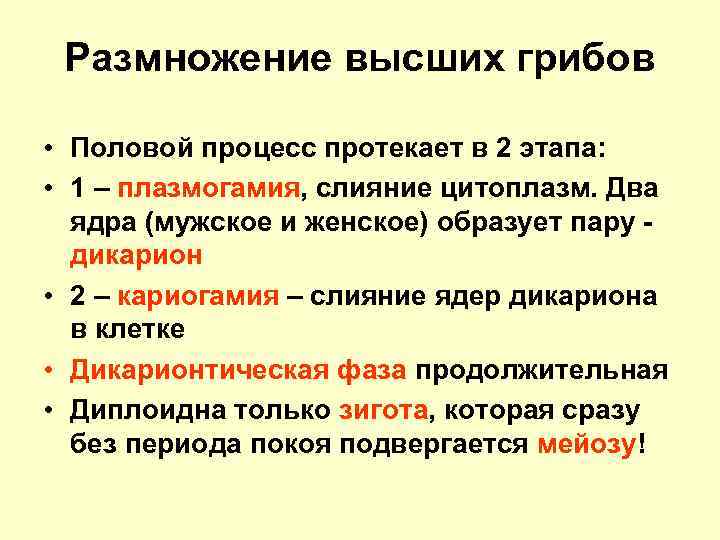 Размножение высших грибов • Половой процесс протекает в 2 этапа: • 1 – плазмогамия,