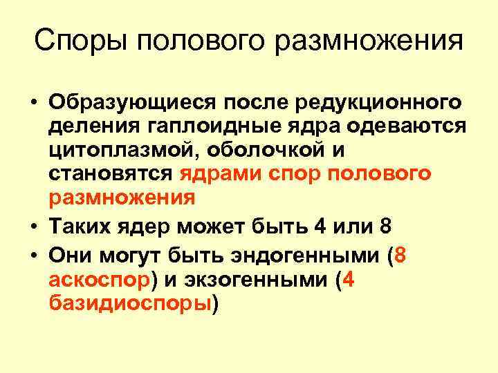 Споры полового размножения • Образующиеся после редукционного деления гаплоидные ядра одеваются цитоплазмой, оболочкой и