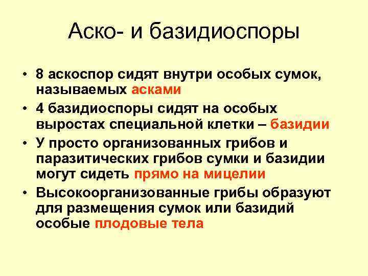 Аско- и базидиоспоры • 8 аскоспор сидят внутри особых сумок, называемых асками • 4