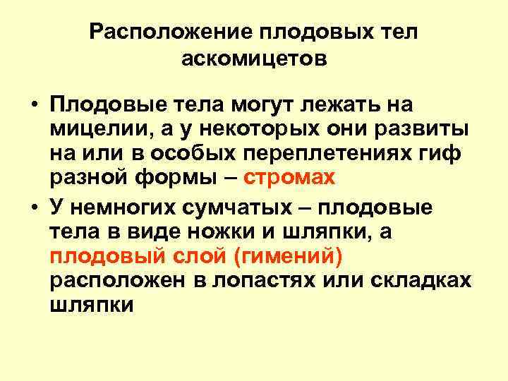 Расположение плодовых тел аскомицетов • Плодовые тела могут лежать на мицелии, а у некоторых