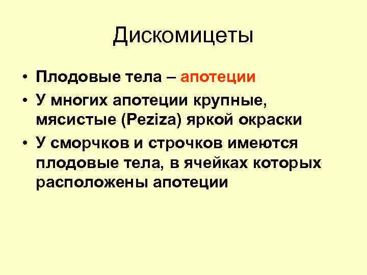 Дискомицеты • Плодовые тела – апотеции • У многих апотеции крупные, мясистые (Peziza) яркой