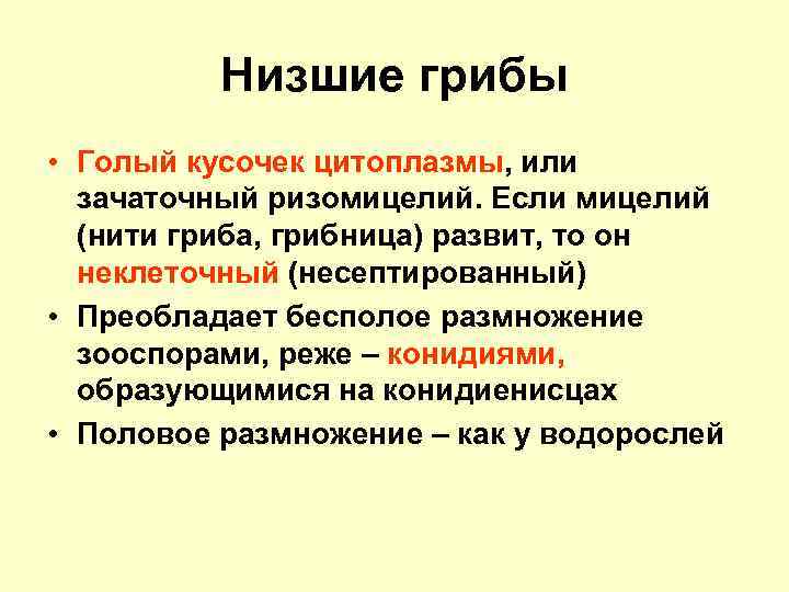 Низшие грибы • Голый кусочек цитоплазмы, или зачаточный ризомицелий. Если мицелий (нити гриба, грибница)