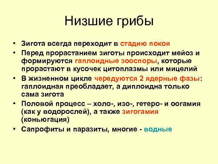 Низшие грибы • Зигота всегда переходит в стадию покоя • Перед прорастанием зиготы происходит