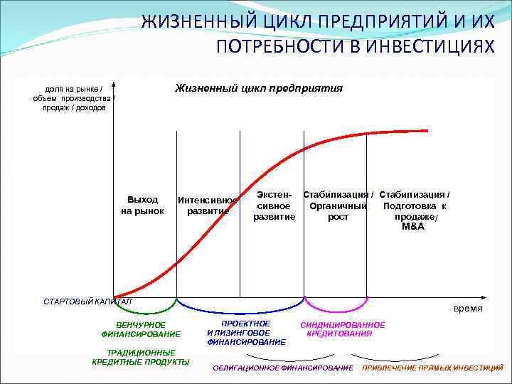 3 жизненного цикла