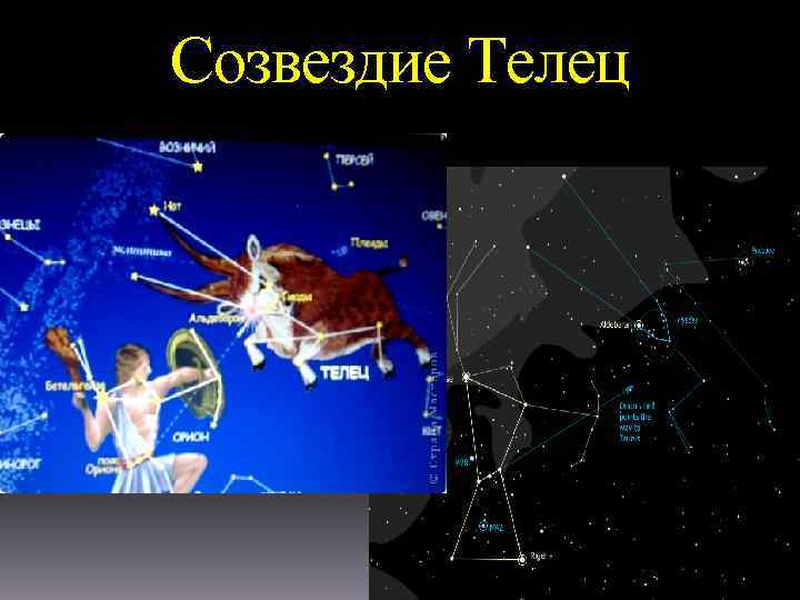 Созвездие Телец 