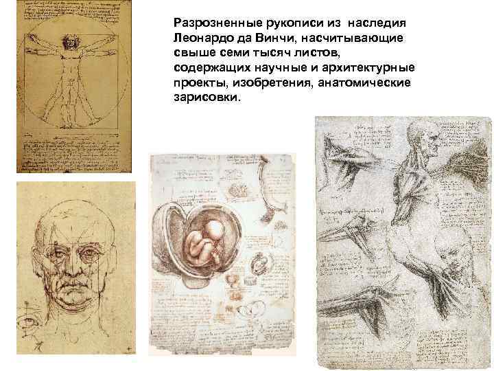Разрозненные рукописи из наследия Леонардо да Винчи, насчитывающие свыше семи тысяч листов, содержащих научные