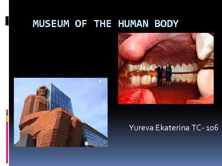 MUSEUM OF THE HUMAN BODY Yureva Ekaterina TC- 106 