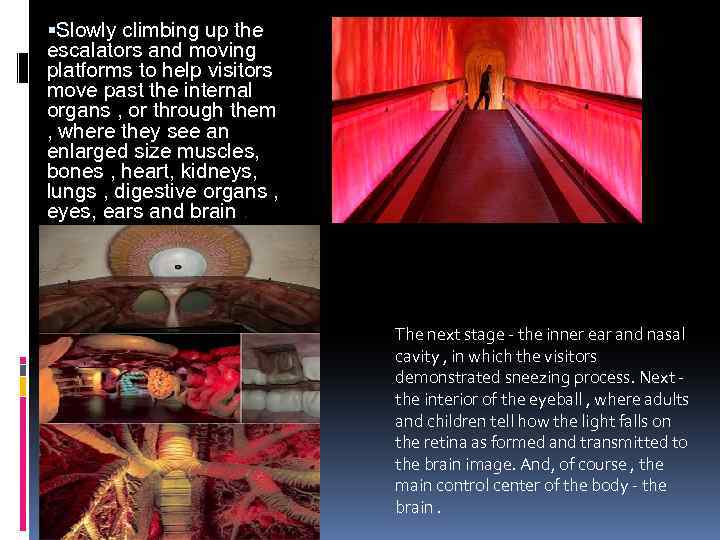  Slowly climbing up the escalators and moving platforms to help visitors move past