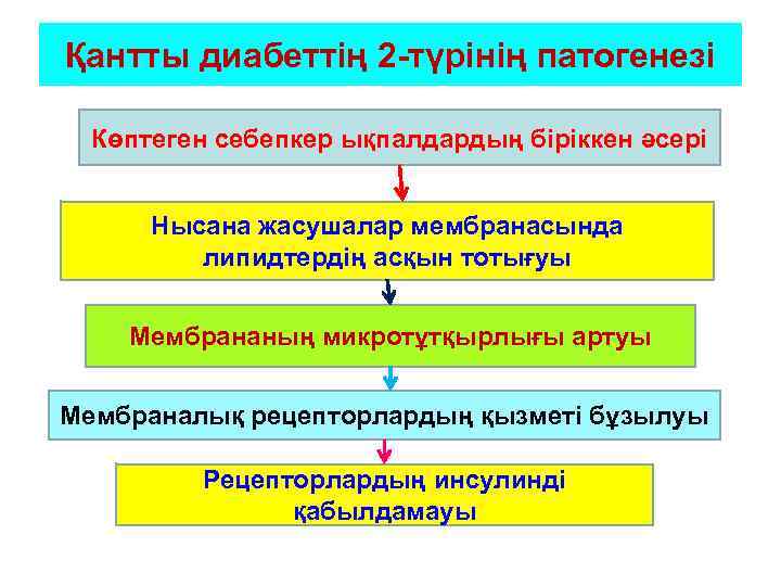 Қантты диабеттің 2 -түрінің патогенезі Көптеген себепкер ықпалдардың біріккен әсері Нысана жасушалар мембранасында липидтердің