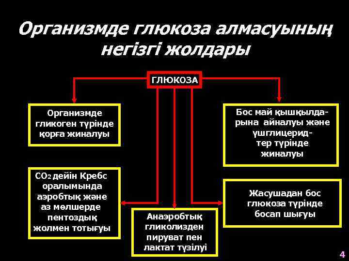 Организмде глюкоза алмасуының негізгі жолдары ГЛЮКОЗА Бос май қышқылдарына айналуы және үшглицеридтер түрінде жиналуы