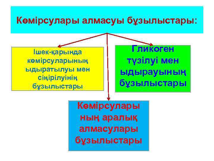 Көмірсулары алмасуы бұзылыстары: Ішек-қарында көмірсуларының ыдыратылуы мен сіңірілуінің бұзылыстары Гликоген түзілуі мен ыдырауының бұзылыстары
