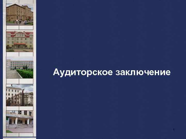 Аудиторское заключение 1 