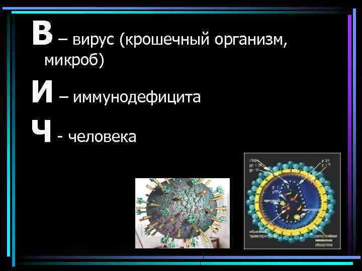 В – вирус (крошечный организм, микроб) И – иммунодефицита Ч - человека 
