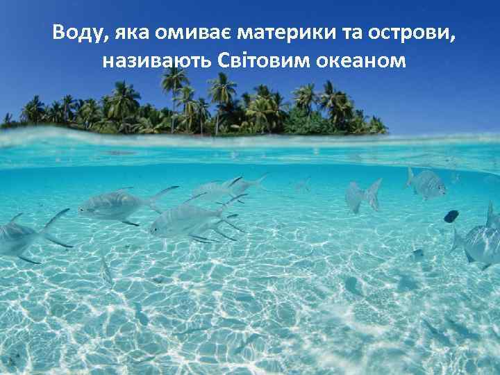 Воду, яка омиває материки та острови, називають Світовим океаном 