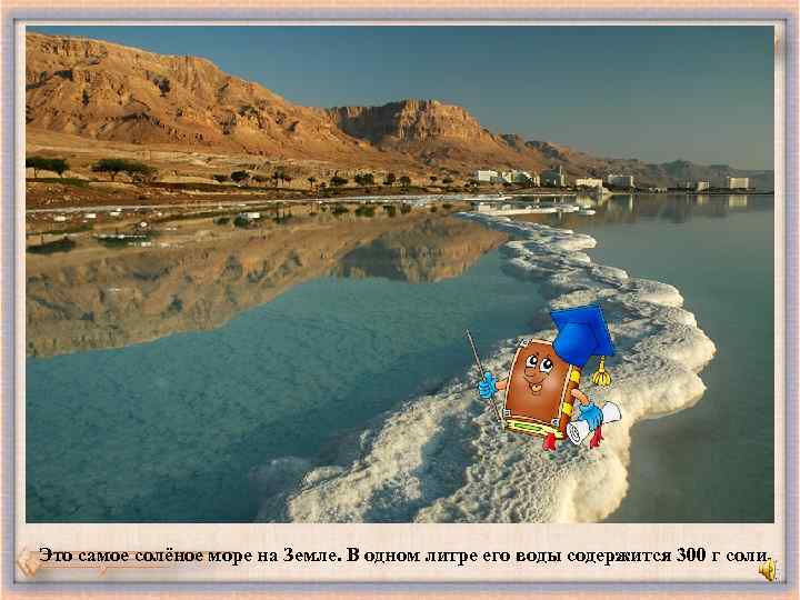 Это самое солёное море на Земле. В одном литре его воды содержится 300 г