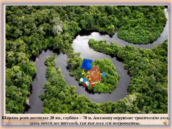 Ширина реки достигает 20 км, глубина – 70 м. Амазонку окружают тропические леса, здесь