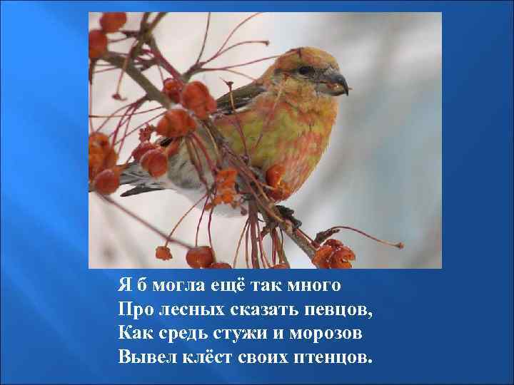 Я б могла ещё так много Про лесных сказать певцов, Как средь стужи и