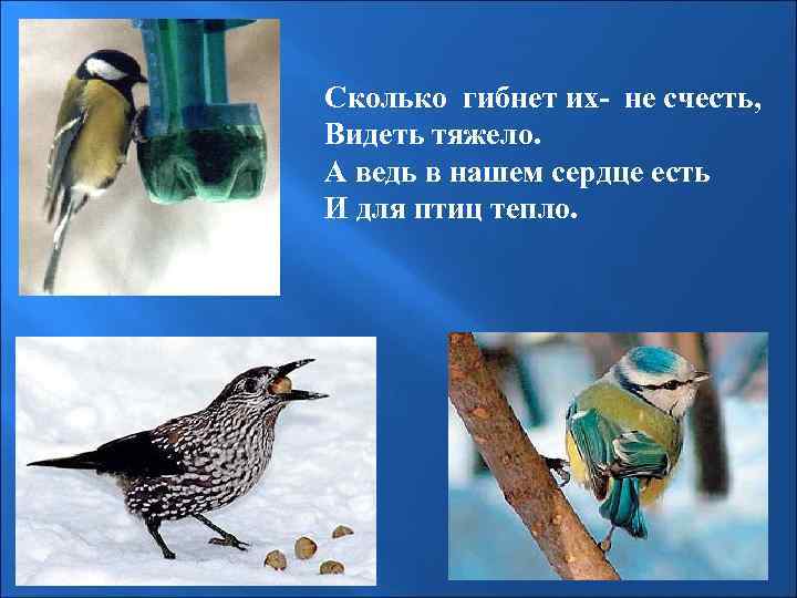 Сколько гибнет их- не счесть, Видеть тяжело. А ведь в нашем сердце есть И