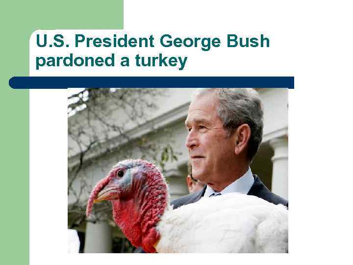 U. S. President George Bush pardoned a turkey 