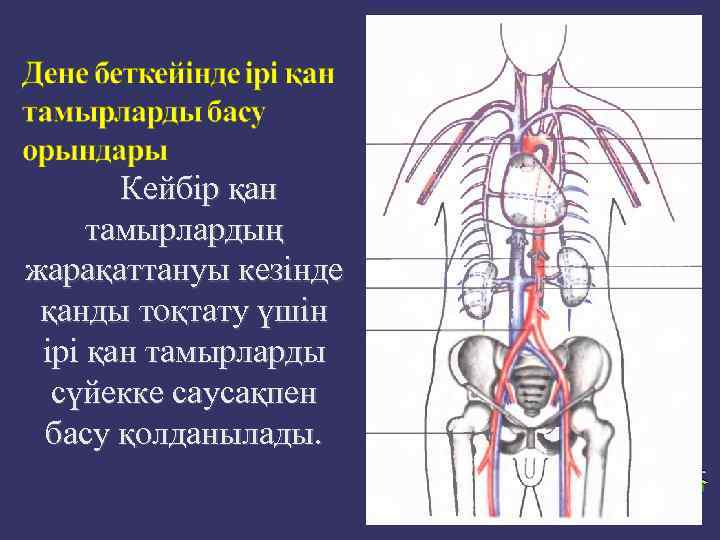 Кейбір қан тамырлардың жарақаттануы кезінде қанды тоқтату үшін ірі қан тамырларды сүйекке саусақпен басу