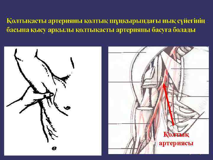 Қолтық артериясы 