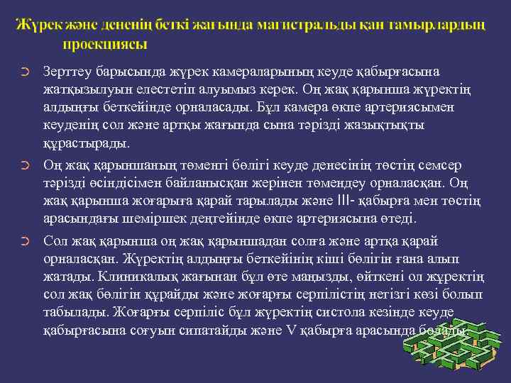 ➲ ➲ ➲ Зерттеу барысында жүрек камераларының кеуде қабырғасына жатқызылуын елестетіп алуымыз керек. Оң