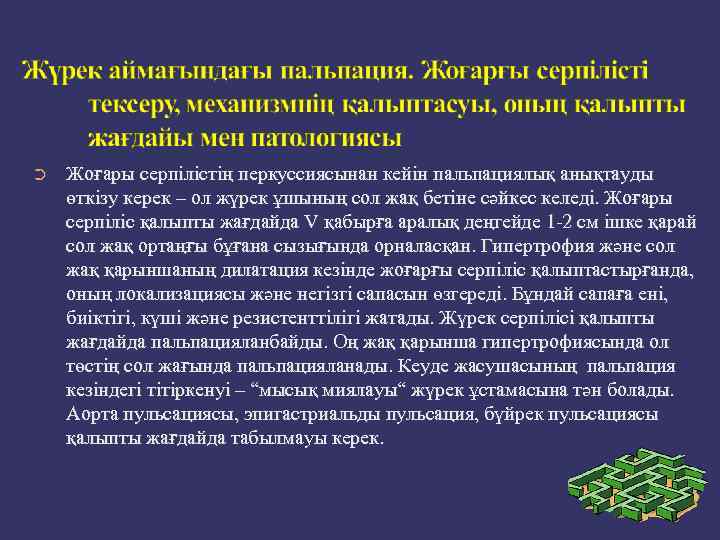 ➲ Жоғары серпілістің перкуссиясынан кейін пальпациялық анықтауды өткізу керек – ол жүрек ұшының сол