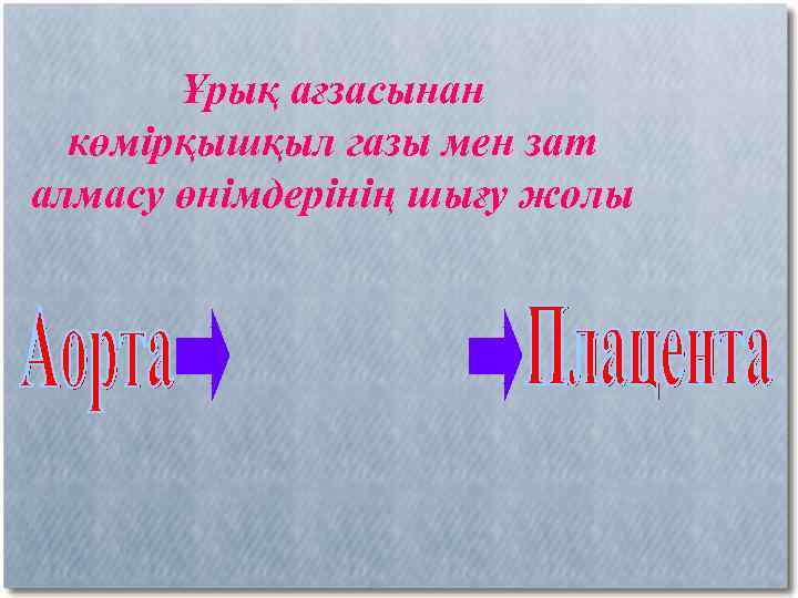 Ұрық ағзасынан көмірқышқыл газы мен зат алмасу өнімдерінің шығу жолы 