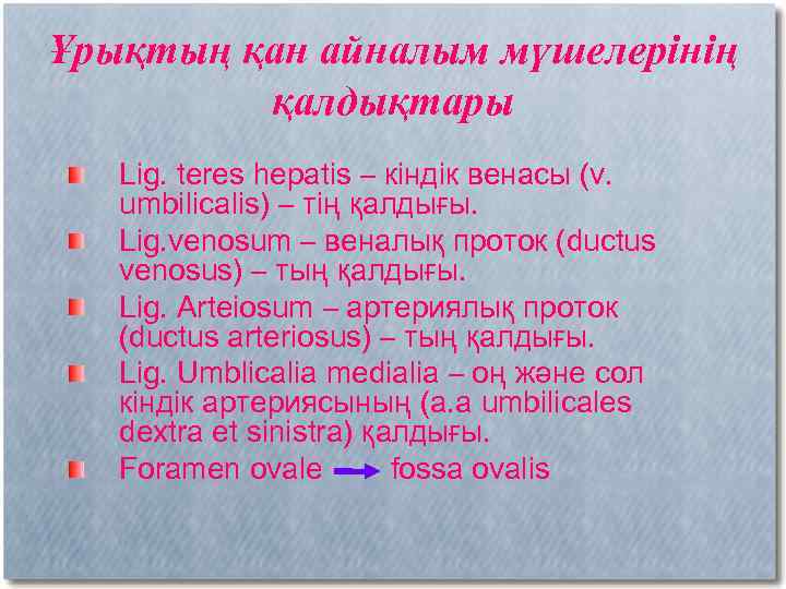 Ұрықтың қан айналым мүшелерінің қалдықтары Lig. teres hepatis – кіндік венасы (v. umbilicalis) –