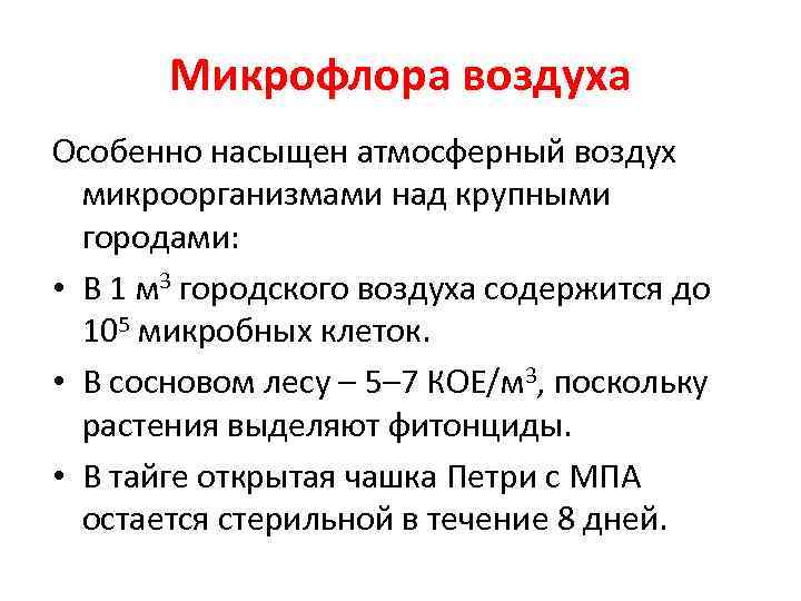 Микрофлора воздуха Особенно насыщен атмосферный воздух микроорганизмами над крупными городами: • В 1 м