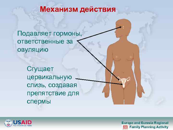 Механизм действия Подавляет гормоны, ответственные за овуляцию Сгущает цервикальную слизь, создавая препятствие для спермы