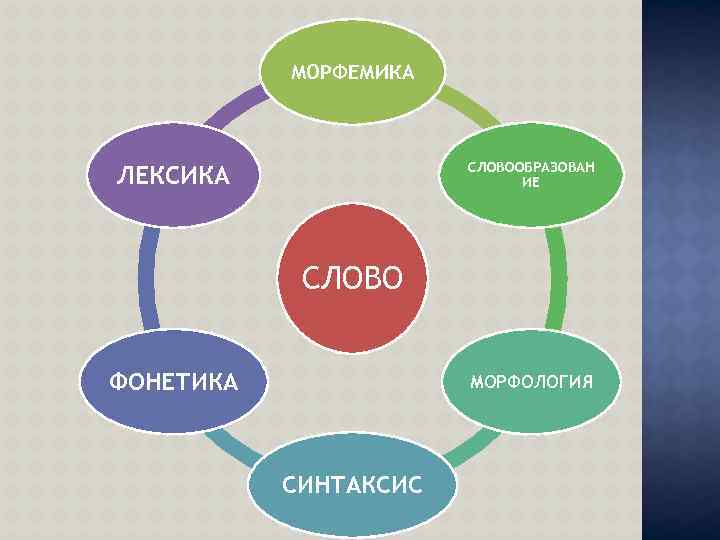 Фонетика лексика Морфемика морфология синтаксис это. Морфология Морфемика фонетика. Морфемика морфология синтаксис. Морфемика фонетика синтаксис.