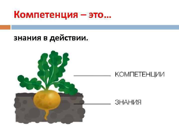 Компетенция – это… знания в действии. 