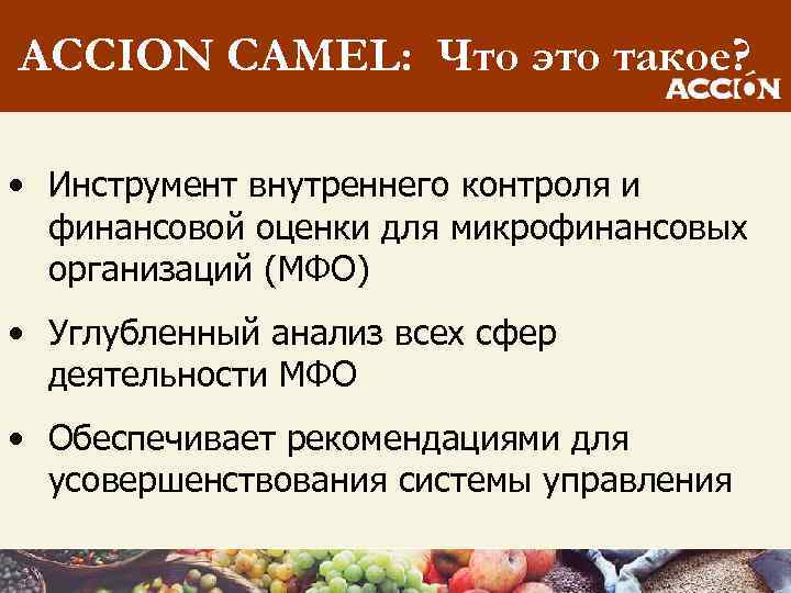 ACCION CAMEL: Что это такое? • Инструмент внутреннего контроля и финансовой оценки для микрофинансовых