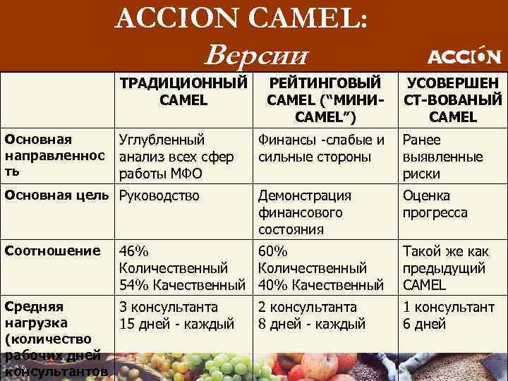 ACCION CAMEL: Версии ТРАДИЦИОННЫЙ CAMEL Основная направленнос ть Углубленный анализ всех сфер работы МФО